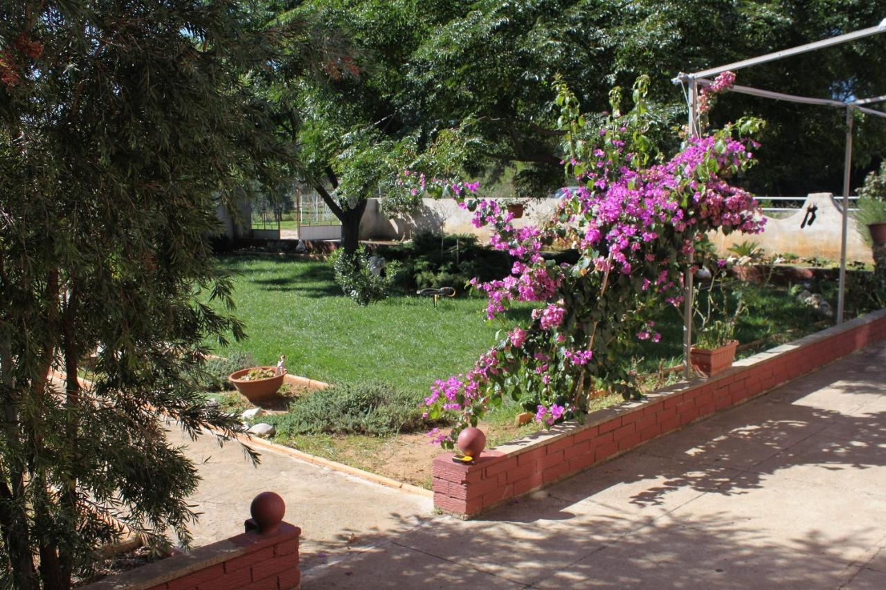 Apartments For Families With Children Privlaka, Zadar - 5747 エクステリア 写真