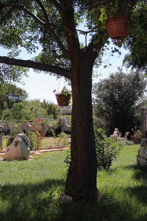 Apartments For Families With Children Privlaka, Zadar - 5747 エクステリア 写真